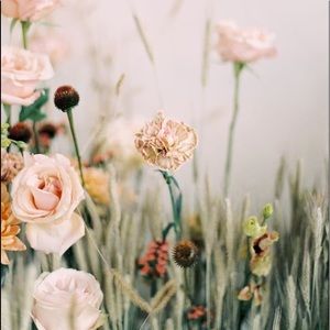 Meet your Posher, Alicia